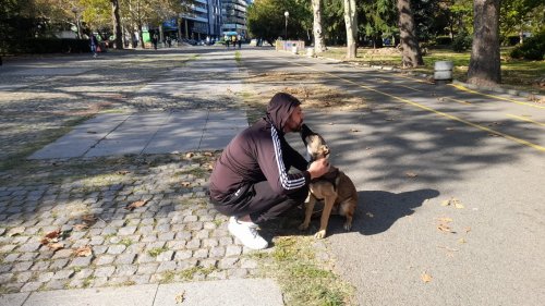Зам. кмет на Бургас осинови кучето Надя  - E-Burgas.com