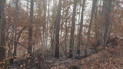 Пожар вилня в гората край Стоилово (снимки) - E-Burgas.com