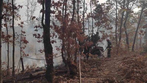 Пожар вилня в гората край Стоилово (снимки) - E-Burgas.com