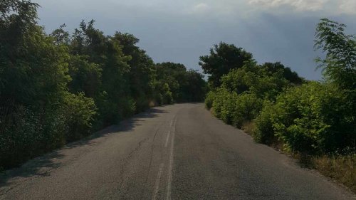 Непочистени храсти и дървета са завзели половината от пътното платно към с.Дюлево, Община Средец (снимки) - E-Burgas.com