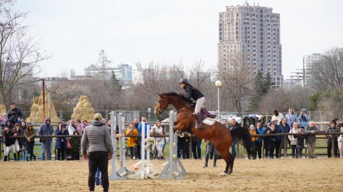 Елитни коне и професионални състезатели излизат на манежа да почетат Тодоровден - E-Burgas.com