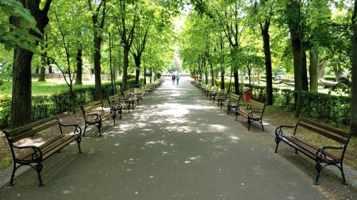 Възстановяват и освежават парковата мебел - E-Burgas.com