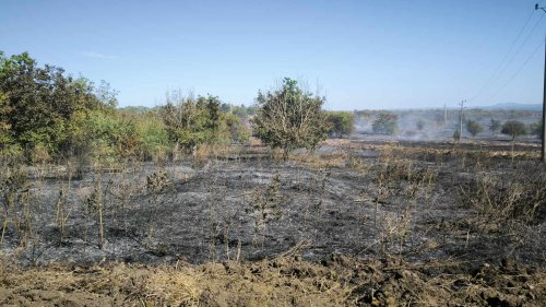 Съмнение за умишлен палеж в село Дюлево, община Средец - E-Burgas.com