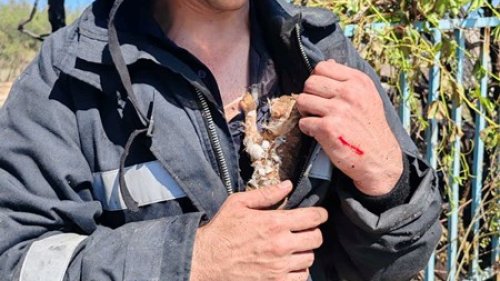 Пожар в местността Косата: Професионализъм, смелост и спасени животи - E-Burgas.com