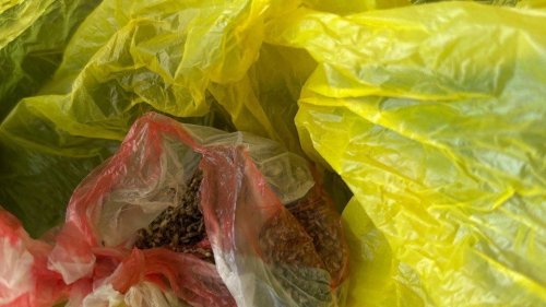 Удар в „Победа“: Криминалната полиция разби нарколаборатория в двуетажна къща на ул. „Велека“ - E-Burgas.com