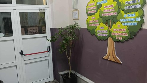 ОУ „П. Р. Славейков“ постави „Дървото на правилата“ – жива визитка на ценностите, които изграждат училищната общност - E-Burgas.com