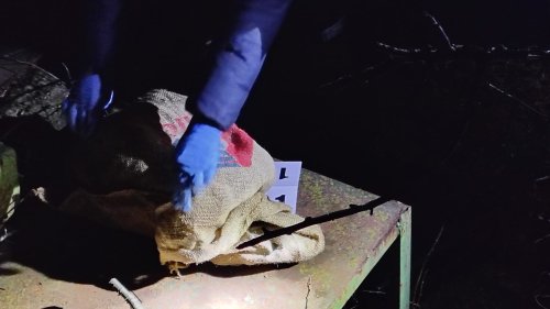 Трима задържани при акция на полицията в Айтос, иззети са канабис и метамфетамин - E-Burgas.com