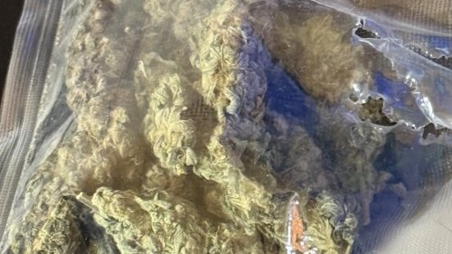 Полицията в Бургаско задържа двама млади мъже при акции срещу наркотици - E-Burgas.com