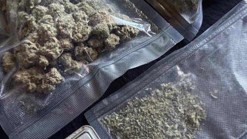 Полицията в Бургаско задържа двама млади мъже при акции срещу наркотици - E-Burgas.com