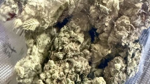 Полицията в Бургаско задържа двама млади мъже при акции срещу наркотици - E-Burgas.com