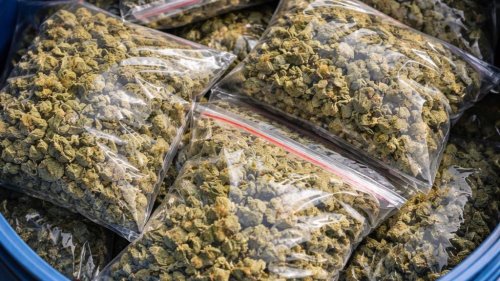 Наркотици в бидони, прекурсори и дилър с пликчета: три акции в Бургаско за един ден - E-Burgas.com