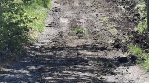 Хората в Острицта взеха нещата в свои ръце и започнаха подготовка за обещания ремонт - E-Burgas.com