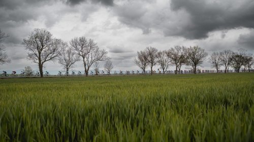 Giro d’Italia превърна България в сцена пред 800 милиона зрители: история, която доскоро звучеше невъзможно - E-Burgas.com