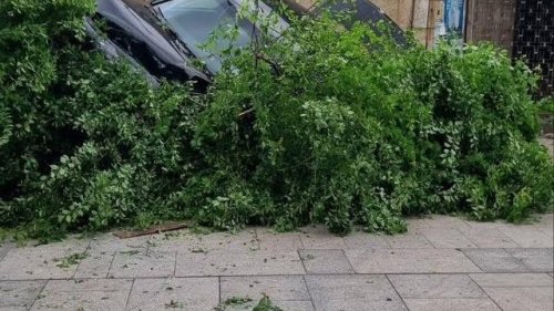 Мигрантски канал завърши с полет от надлеза в Бургас. Шофьорът избяга и заряза трима мароканци в смазания автомобил - E-Burgas.com