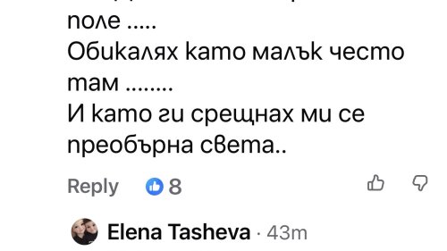 Здравко от Big Brother подпали мрежата с НЛО над Приморско: Стотици разказват за извънземни, светещи кълба и мистерии из България - E-Burgas.com
