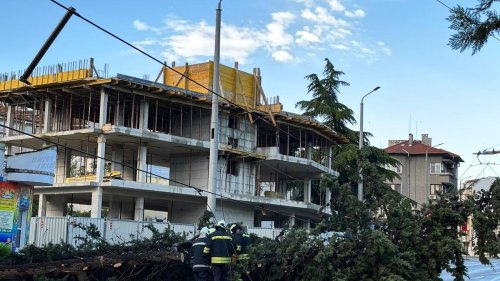 Дърво рухна насред „Булаир“ в Бургас, блокира автобус и целия трафик след бурята - E-Burgas.com